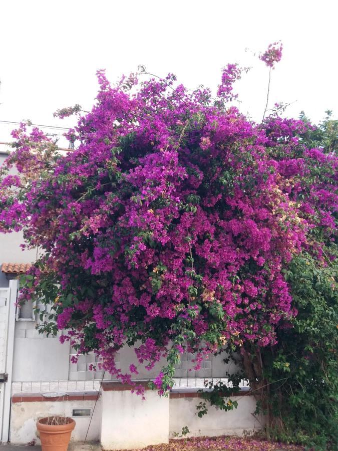 Casa Agrumeto - Locazione Turistica Mondello Kültér fotó