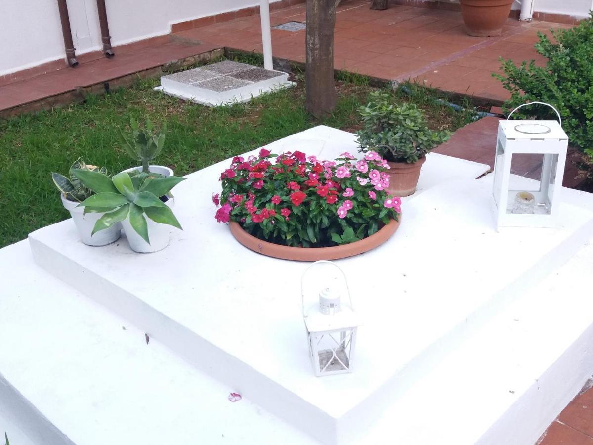 Casa Agrumeto - Locazione Turistica Mondello Kültér fotó