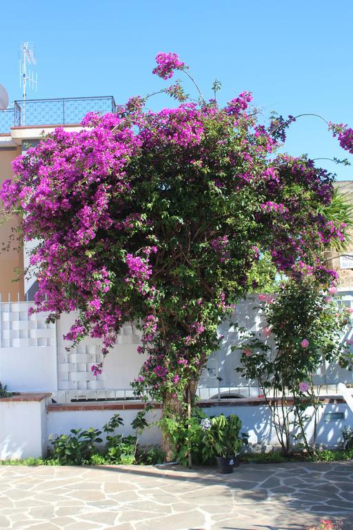 Casa Agrumeto - Locazione Turistica Mondello Szoba fotó