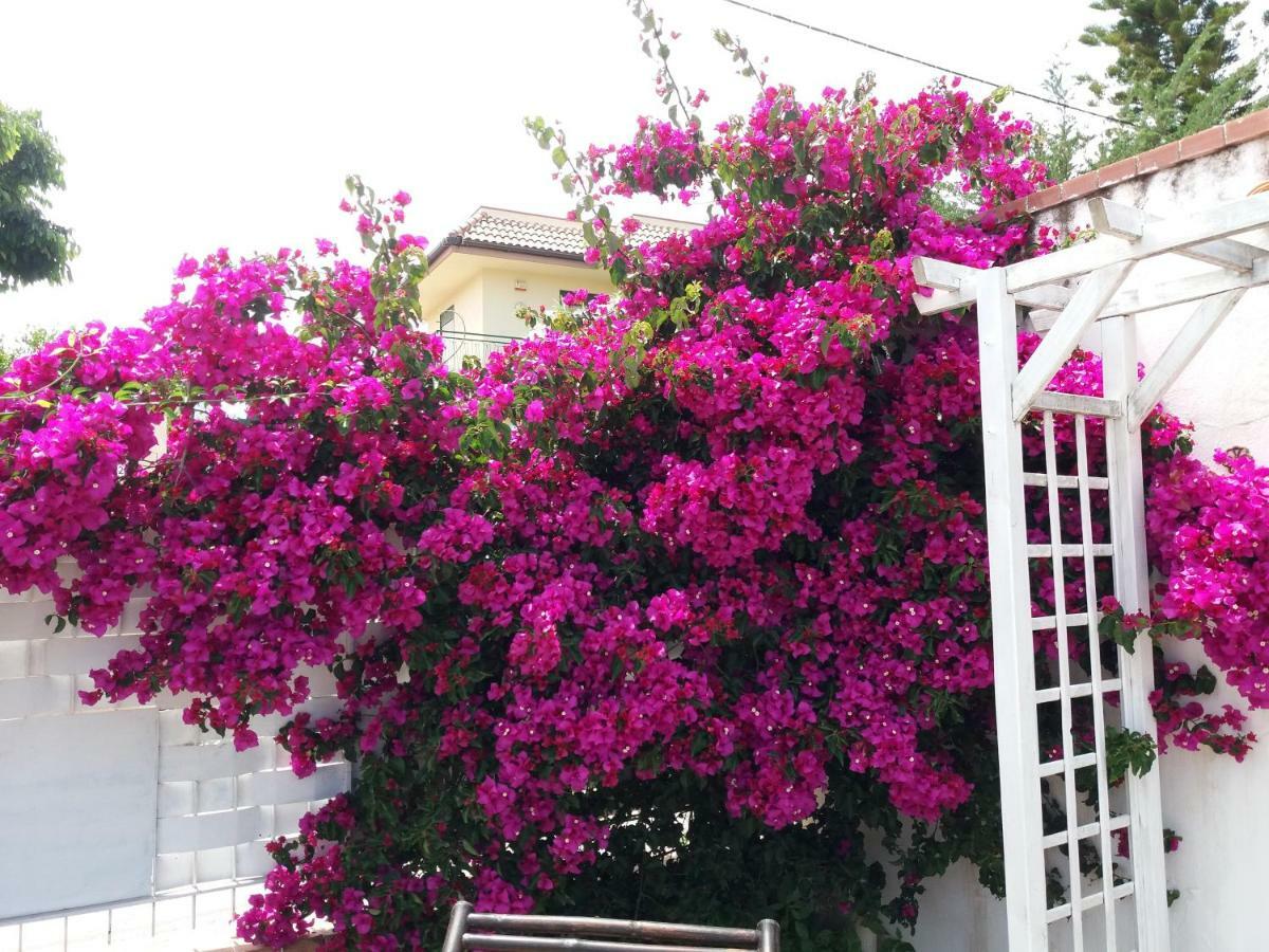 Casa Agrumeto - Locazione Turistica Mondello Kültér fotó