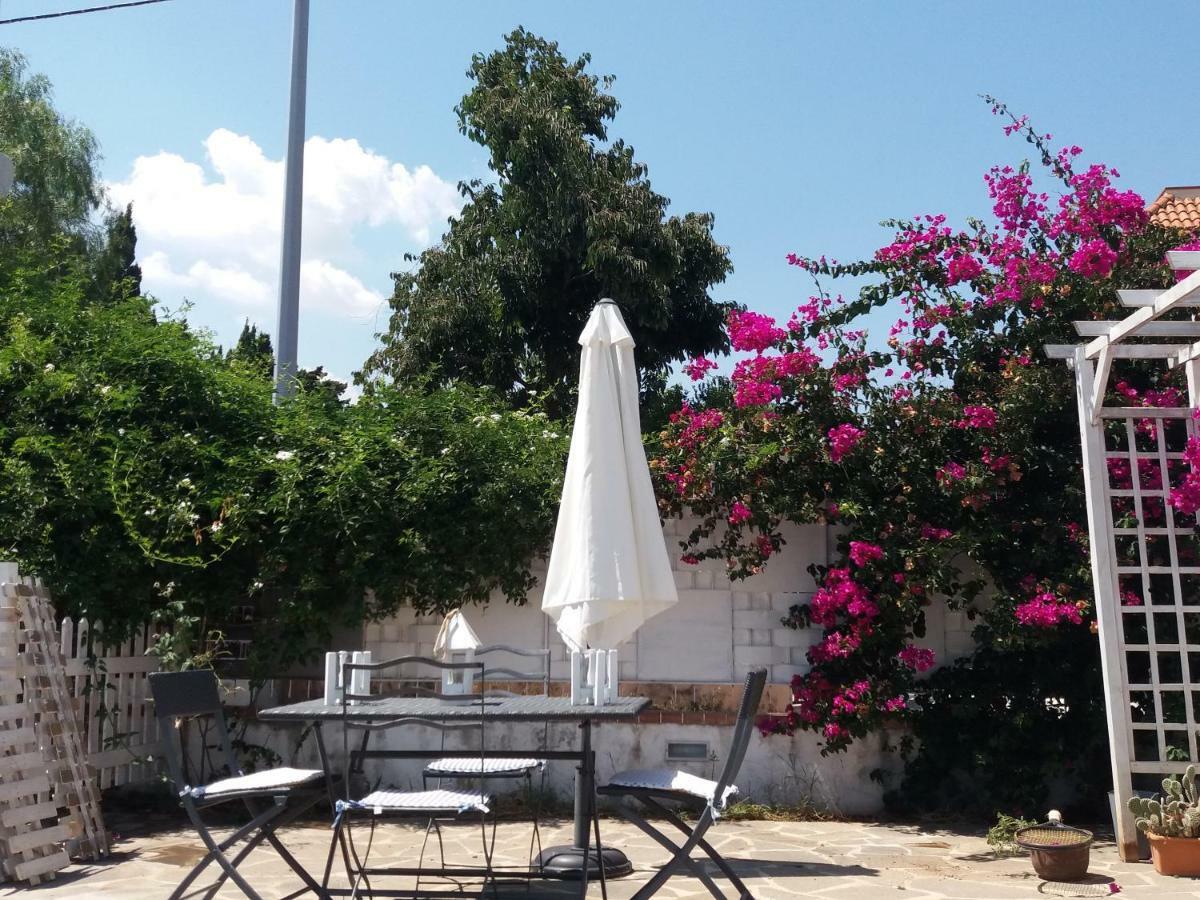 Casa Agrumeto - Locazione Turistica Mondello Kültér fotó