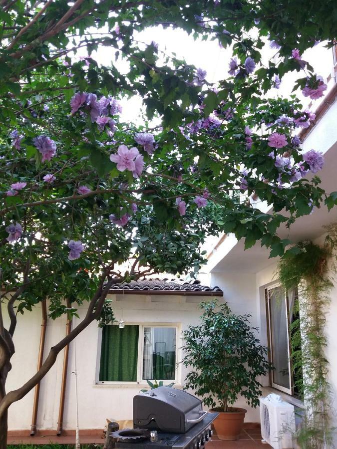 Casa Agrumeto - Locazione Turistica Mondello Kültér fotó
